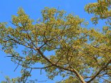 test0010.jpg