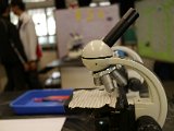 IMG_2197.jpg