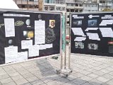 IMG_2241.jpg